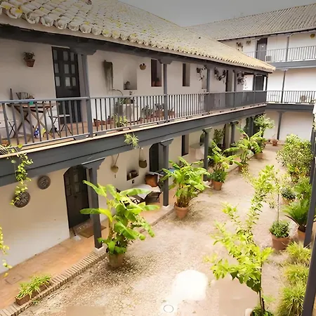 Apto En Historico Patio Andaluz